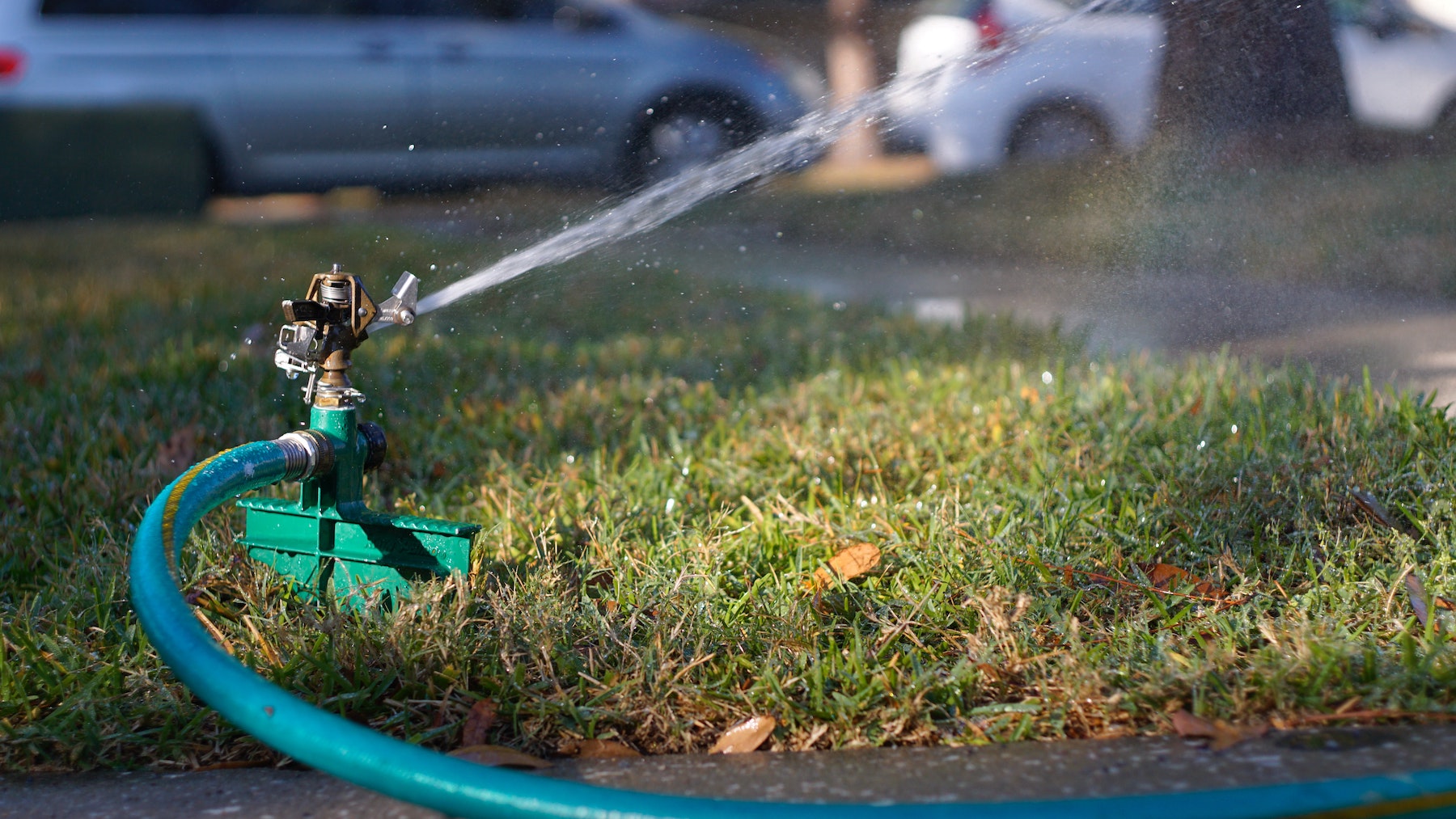 You can water even during restrictions with a water tank on your property. 